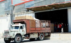 Workers load aid boxes onto a truck at a World Food Programme facility in the Damascus countryside, July 29, 2025 (Reuters).
