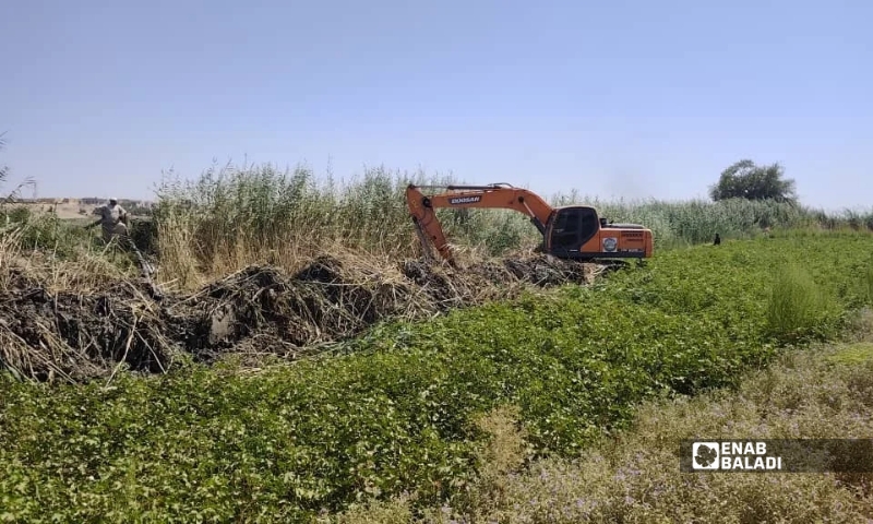 Work to clear the Balikh River channel opposite al-Hamrat, in the eastern Raqqa countryside, September 3, 2026 (Enab Baladi)