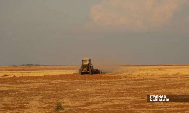 A farmer plows his land in the al-Hasakah countryside, October 3, 2026 (Enab Baladi)