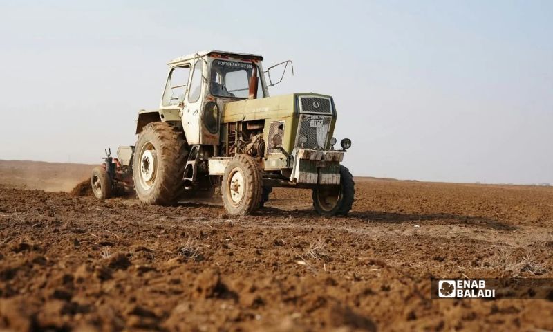 Plowing begins for the winter growing season in Syria’s Jazira region (northeastern Syria), October 8, 2026 (Enab Baladi)
