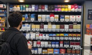 A smoker chooses a cheaper brand at a tobacco shop in Damascus, October 15, 2026 (Enab Baladi / Amir Huquq).